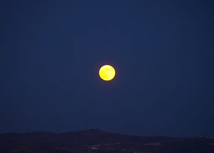 Vira Vivere Plaka (Milos)